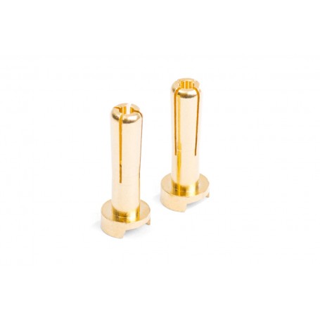 MIBO Gold Plugs - 4mm (2pcs) - MB-4137