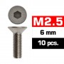 M2,5X6MM FLAT HEAD SCREWS (10 PCS)