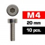 M4X20MM CAP HEAD SCREWS (10 PCS)