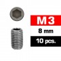 M3X8MM SET SCREWS (10 PCS)