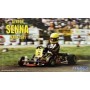 Fujimi 1/20 Ayrton Senna Kart 1981 Scale 09137