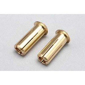 Racing Performer 24K Gold Plug (5mm/2pcs)