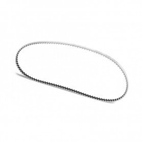 XRAY HIGH-PERFORMANCE LOW FRICTION KEVLAR DRIVE BELT 3 x 351 MM - 305436