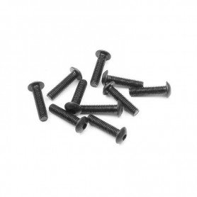 XRAY HEX SCREW SH M4x16 (10) - 902416