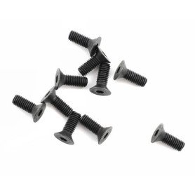 B0740 Mugen 3x8mm SIG Flat Head Screw (10)