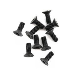 B0747 Mugen 4x10mm SJG Flat Head Screw (10)