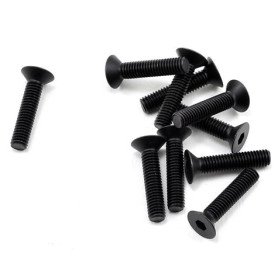 B0756 Mugen 3x14mm SJG Flat Head Screw (10)